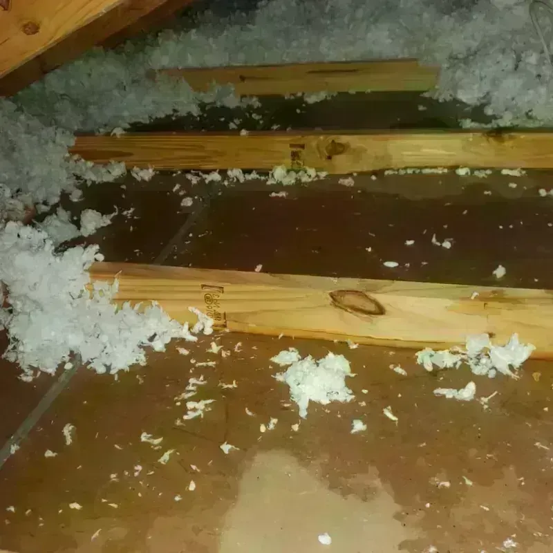 Attic Water Damage in Evansville, WY